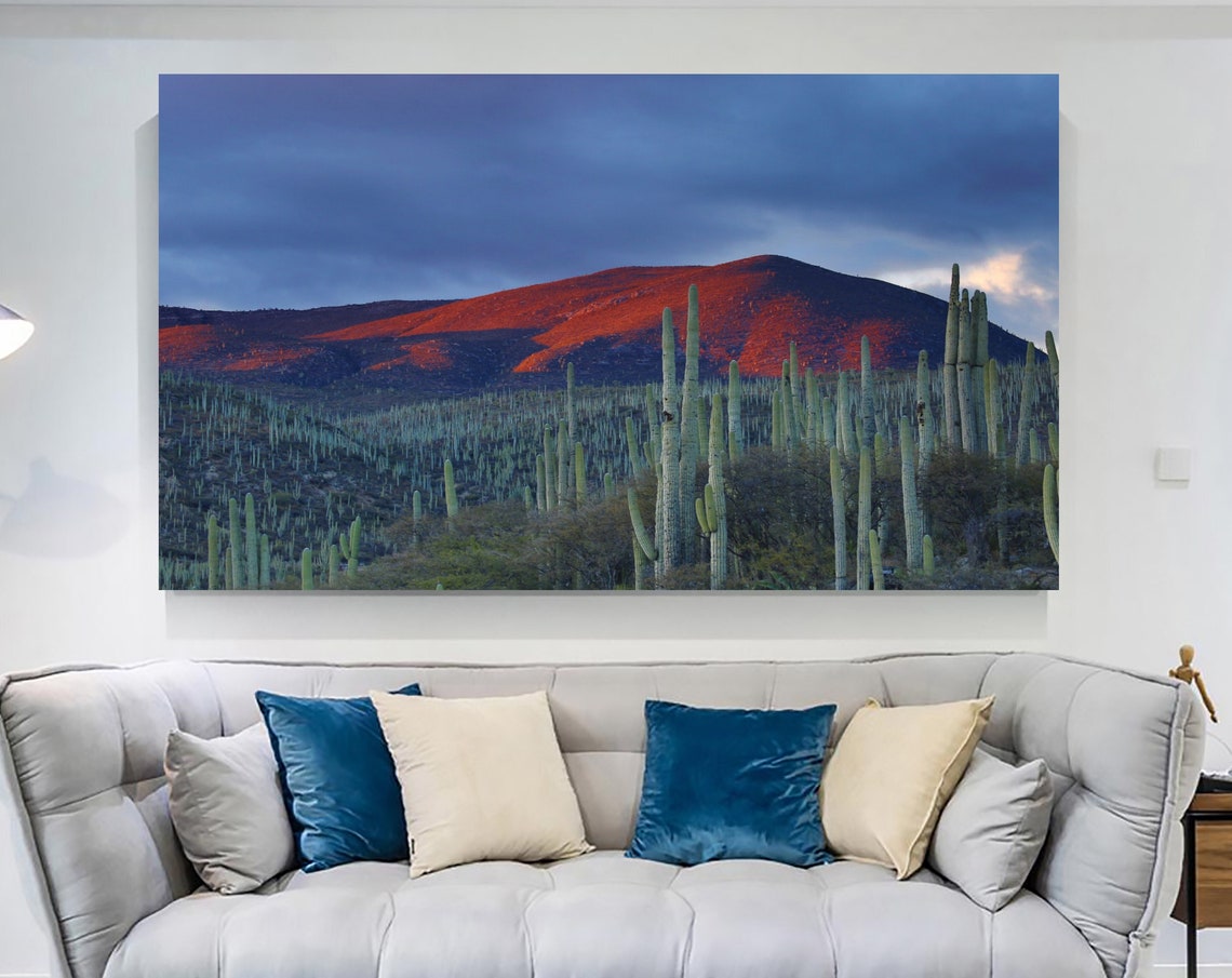 Desert Cactus Sunset Red Mountain Columnar Cacti Landscape Poster
