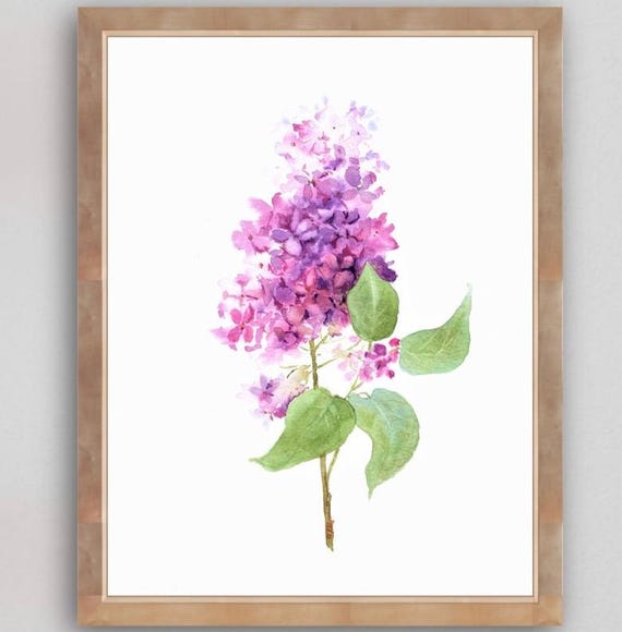 Lilac Art Print Floral Wall Purple Botanical Watercolor Painting Flowers Decor Prints From Original