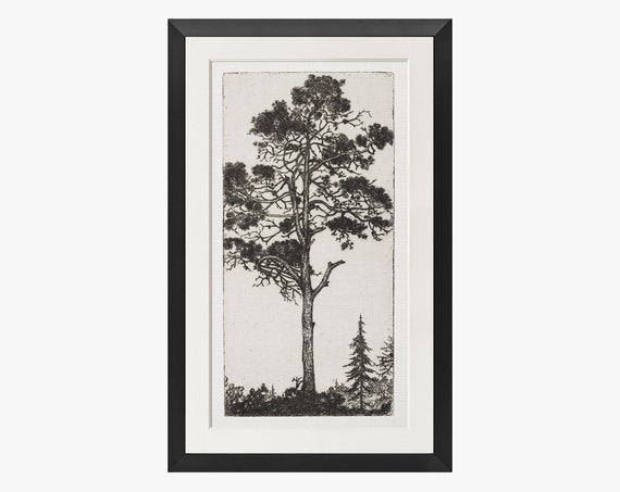 Vintage Tree Etching Art Print, Nature Wall Art