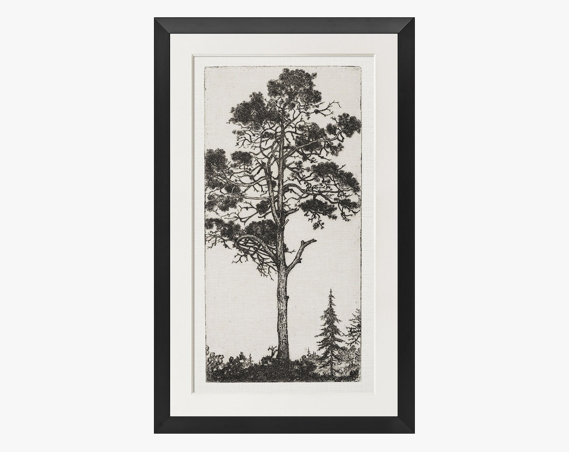 Vintage Tree Etching Art Print, Nature Wall Art
