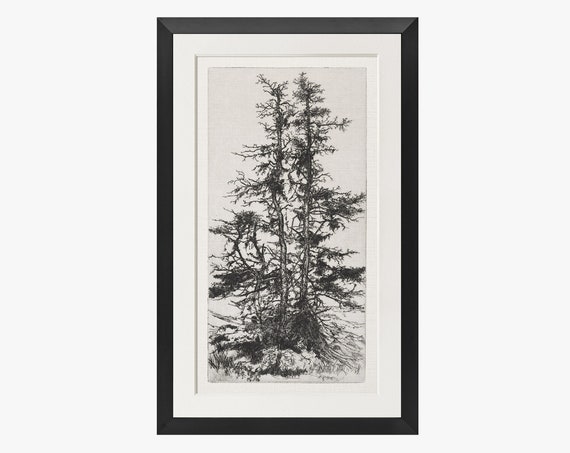 Vintage Tree Etching Print Framed Gold Finish Transitional Decor 86
