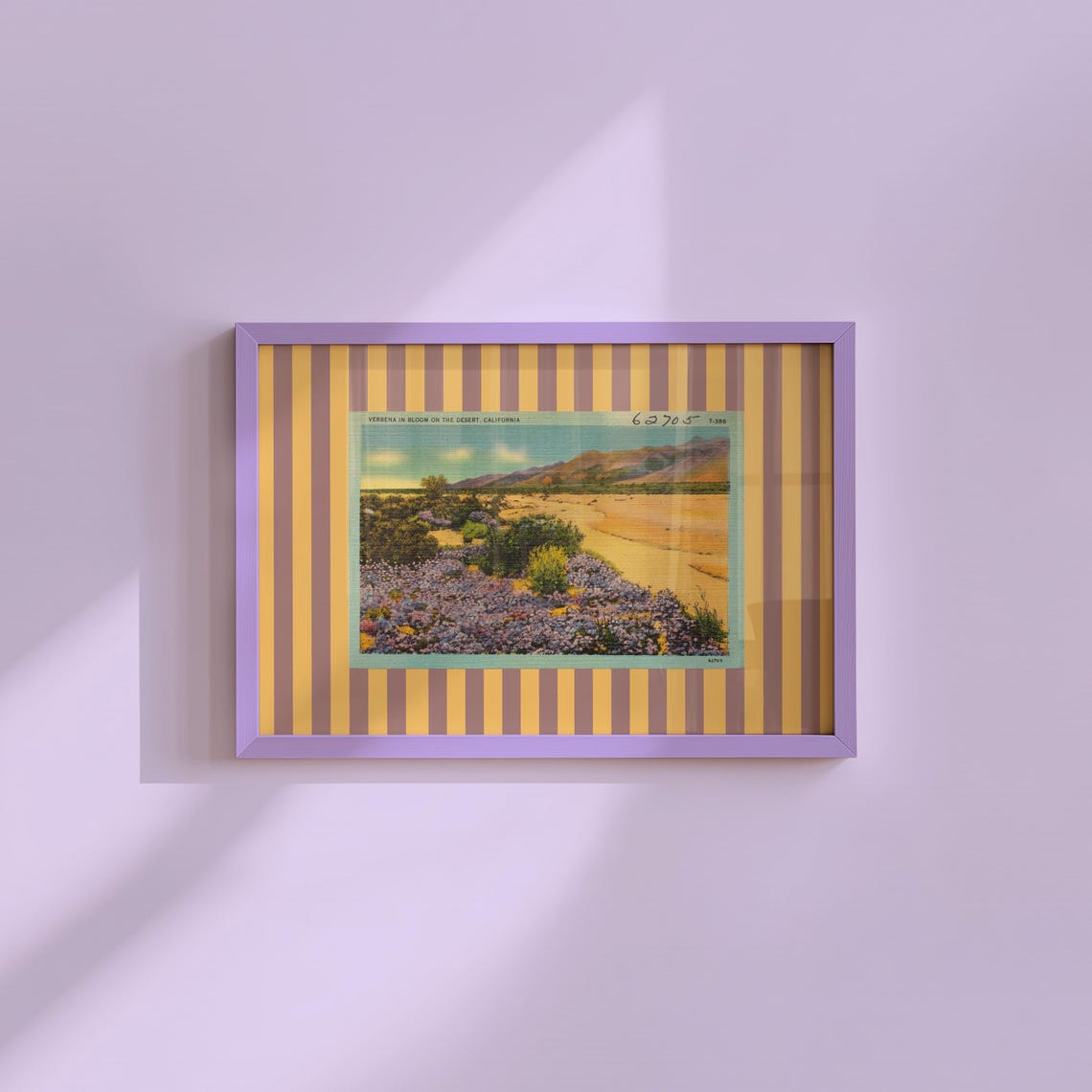 Verbena In Bloom Desert California Vintage Postcard Collage Poster