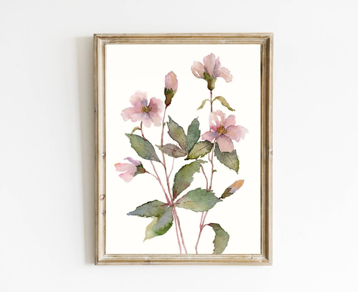 Pink Hellebore Botanical Watercolor Art Print