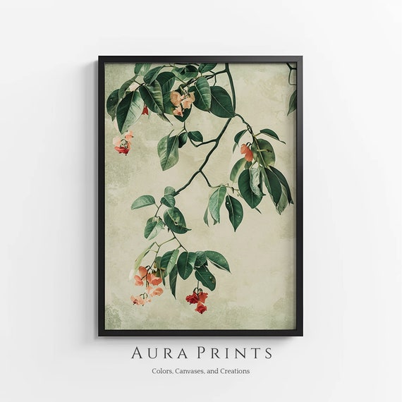 Serene Hoya Obovata Blossoms Art For Rustic Farmhouse Decor 0447