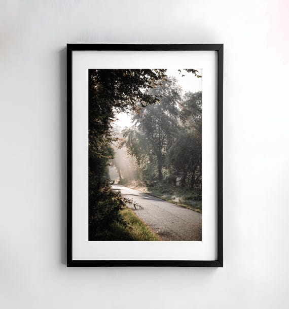 Forest Fog Trees Photography Nature Wall Art Poster Fine Art Print Nature Photography Decor Art Wall Design Forest Path