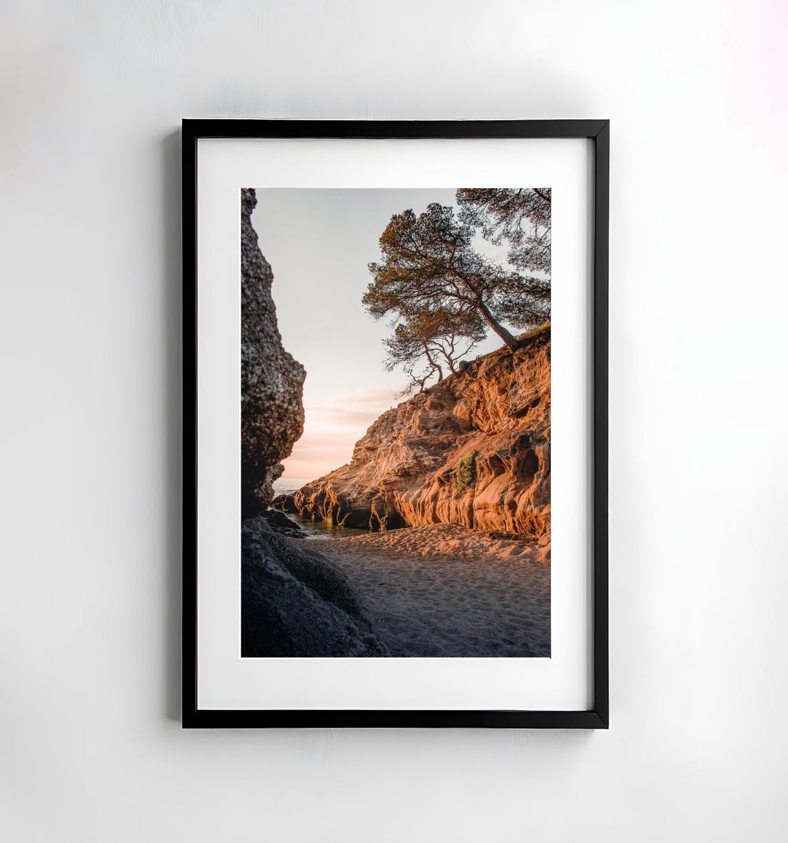 Sunlit Rocky Cove With Wind-Bent Pines in Spain Photo Poster