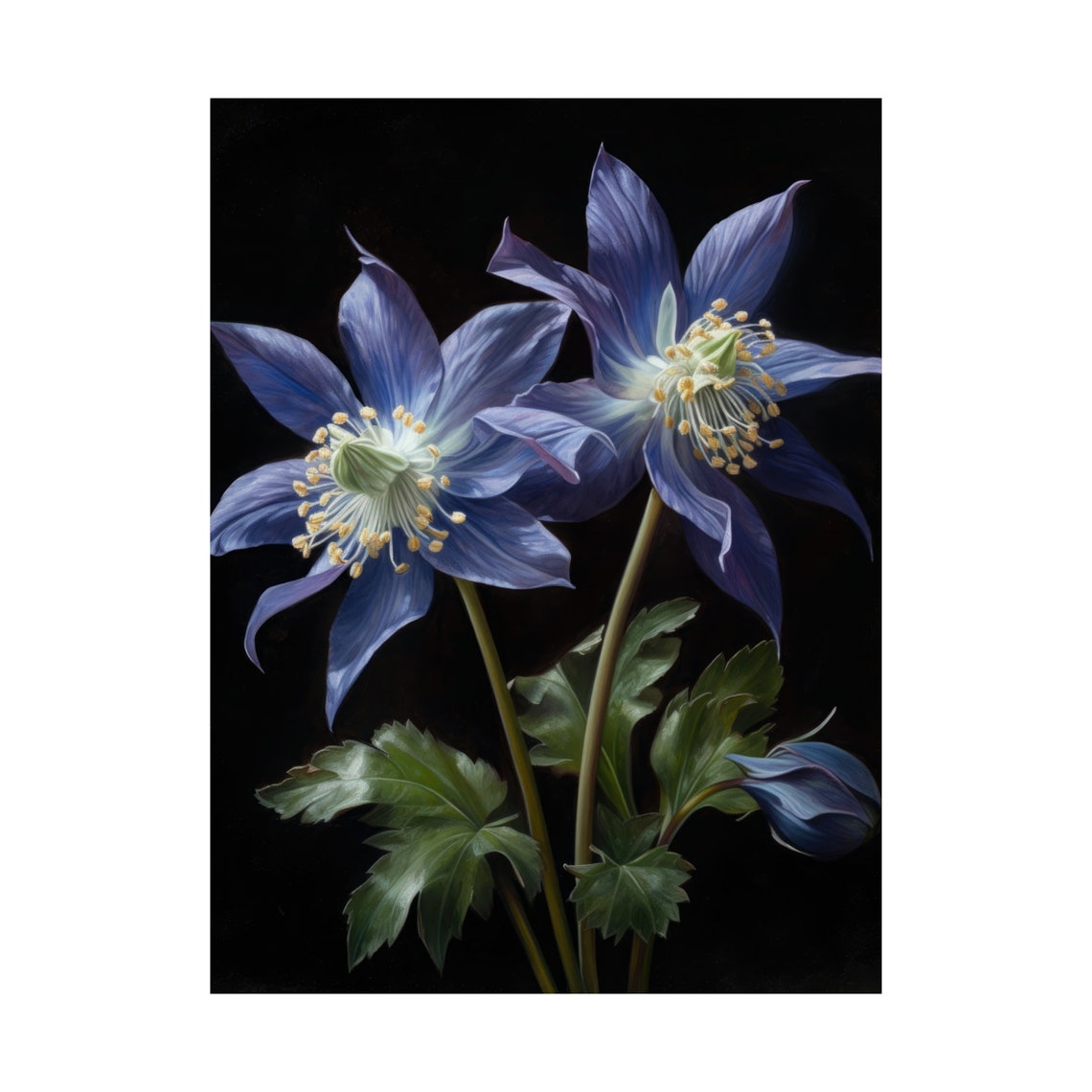 Blue Columbine Blossoms Dark Moody Botanical Floral Art Poster - Image 4