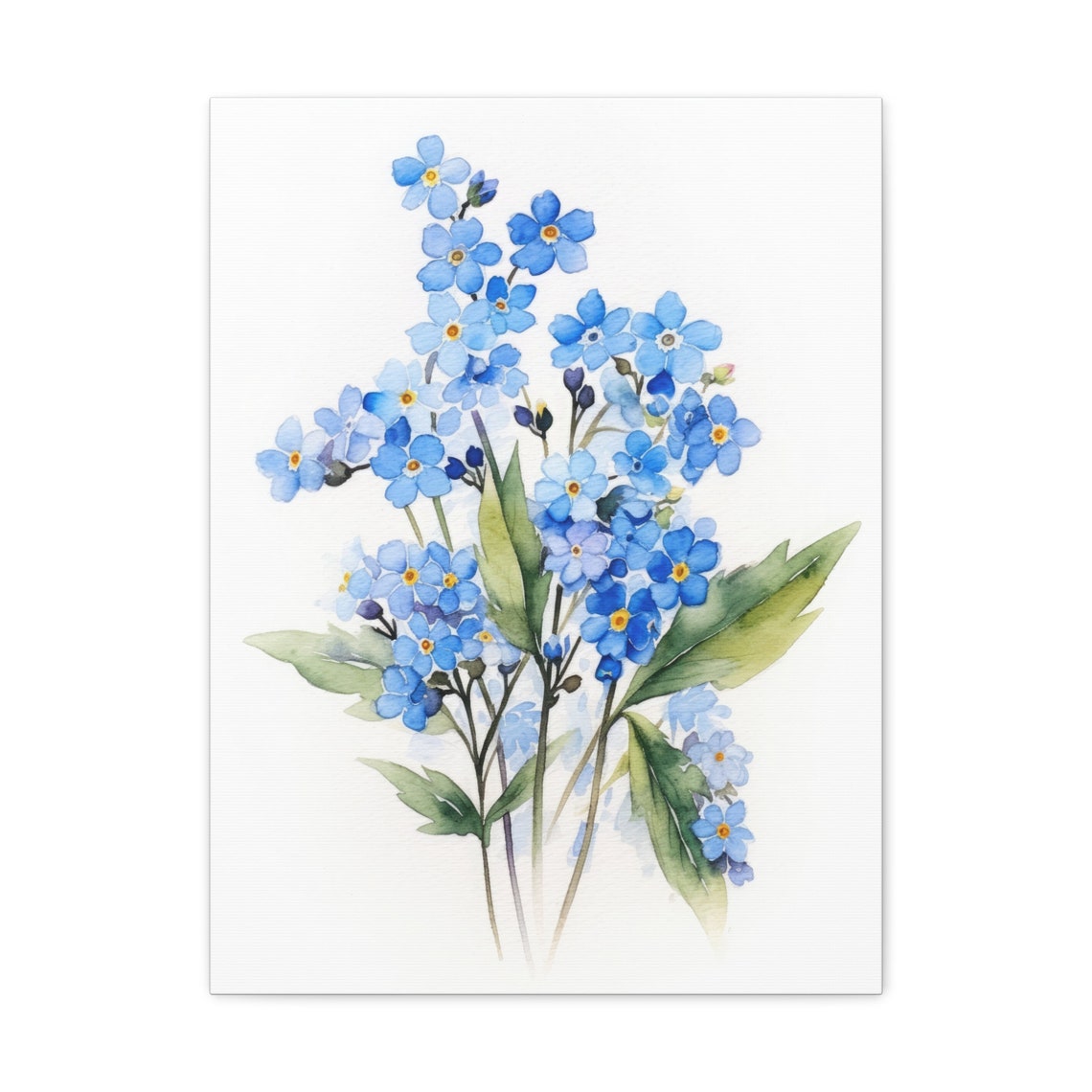 Blue Forget Me Not Blossoms White Watercolor Botanical Art Print