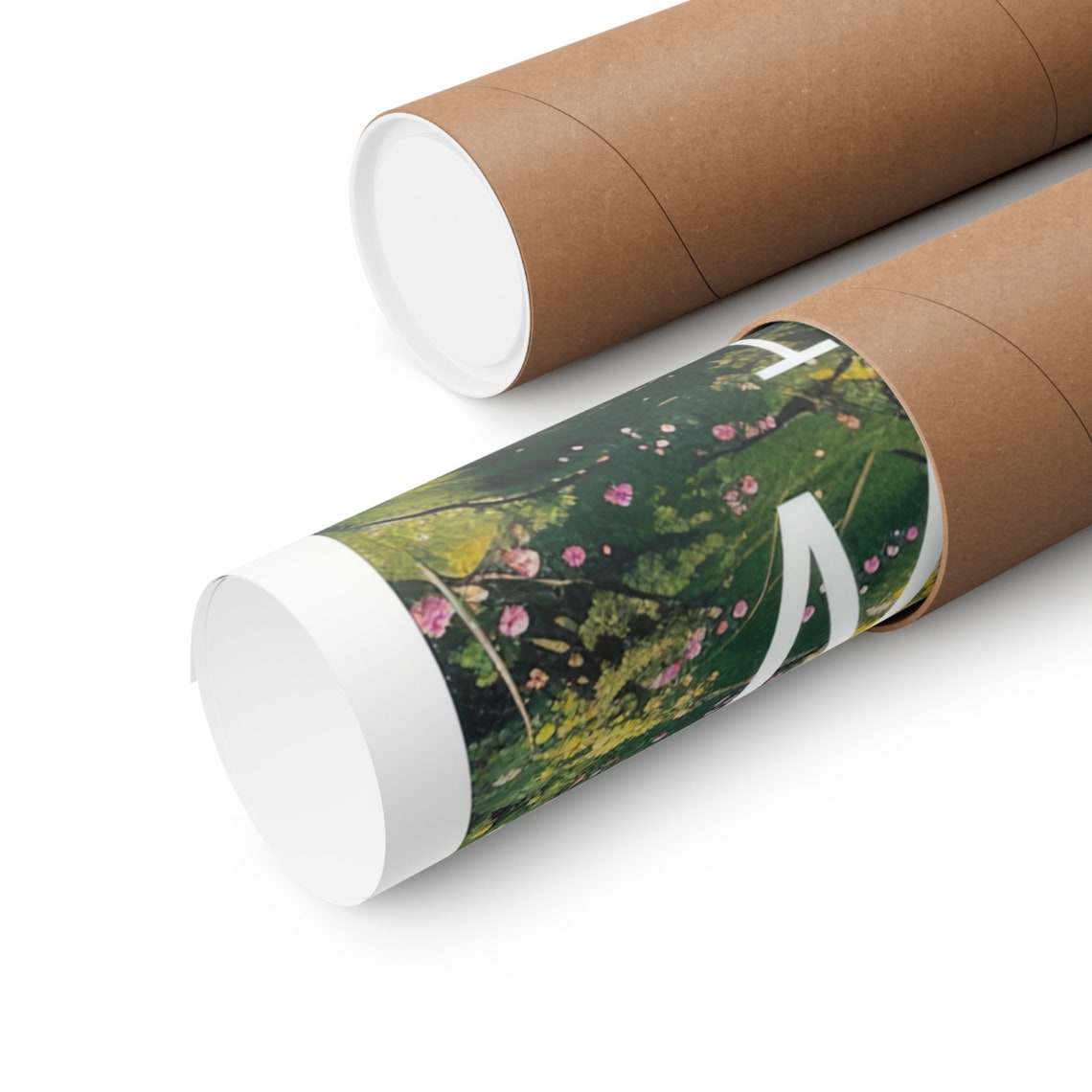 Siuslaw National Forest Tall Evergreen Trail Sunlight Filter Poster - Image 2