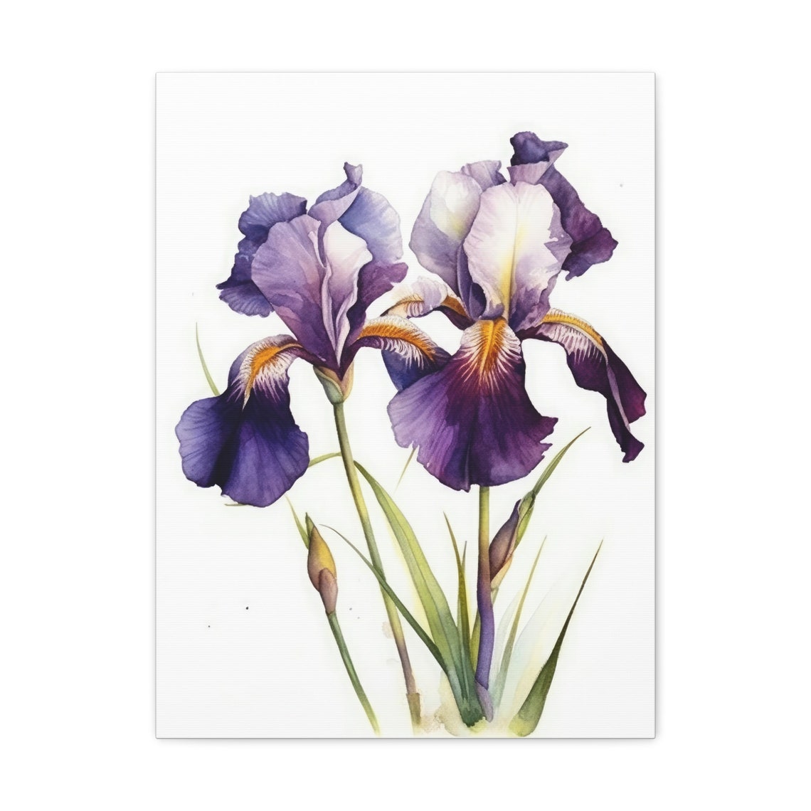 Purple Iris Watercolor Botanical Elegant Spring Floral Poster