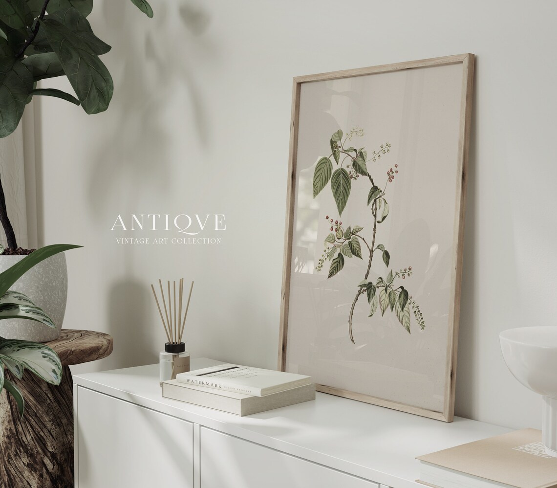 Antique Floral Sketch Botanical Art Print - Image 4