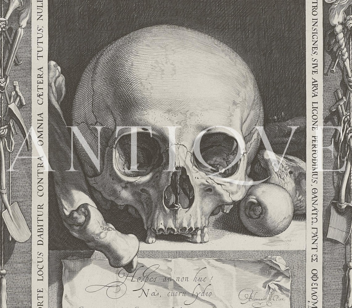 Antique Skull Engraving Latin Memento Mori Gothic Art Poster - Image 3