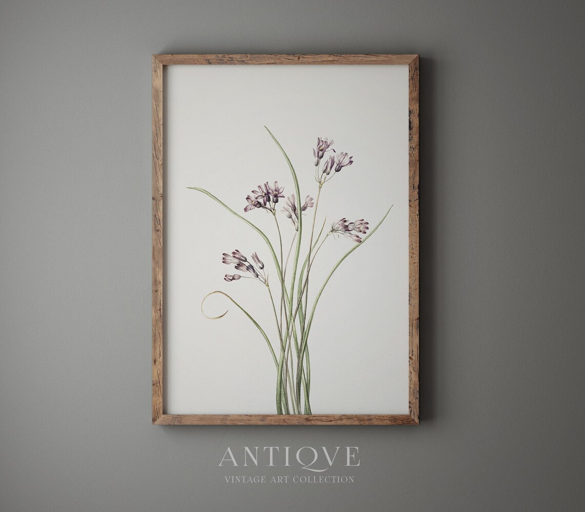 Vintage Flowers Botanical Painting, Art Print - Image 4