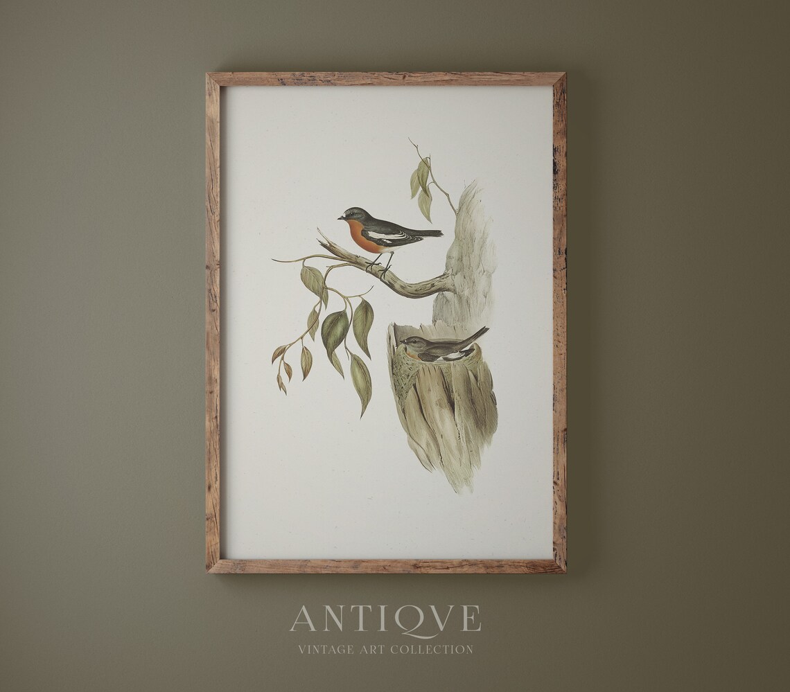 Vintage Robin With Nest, Irish Home Decor - Image 4