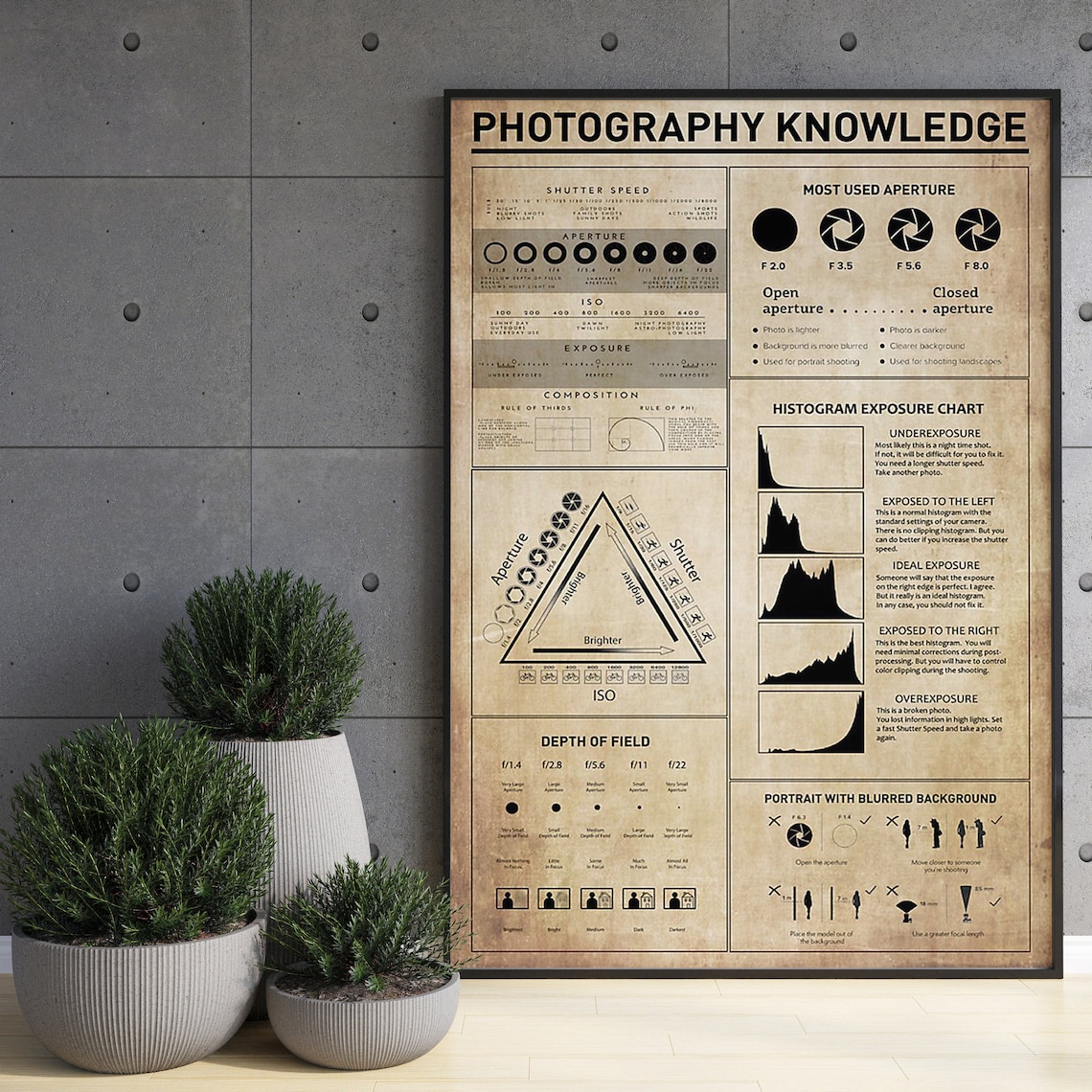 Photography Knowledge Poster, Camera Lover Gift - Image 3
