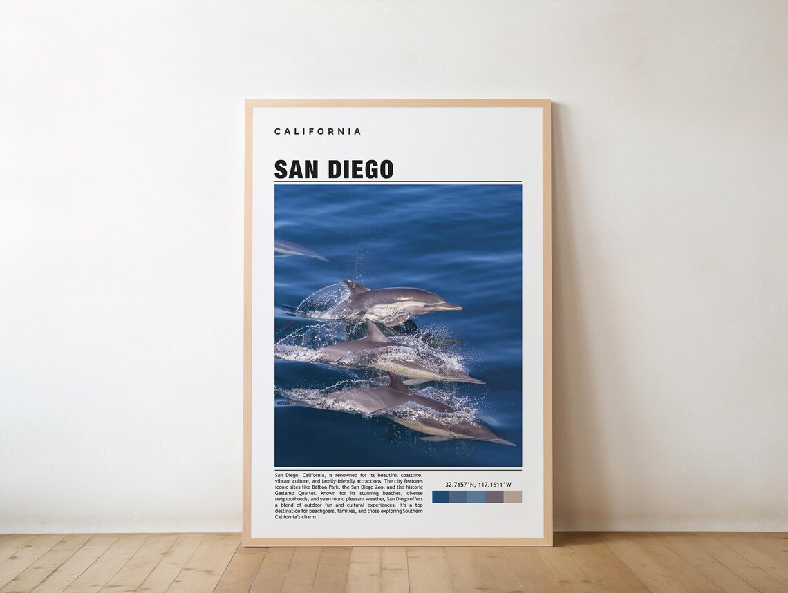 San Diego California Wild Dolphins Ocean Photo Travel Poster