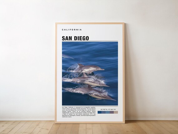 San Diego California Wild Dolphins Ocean Photo Travel Poster