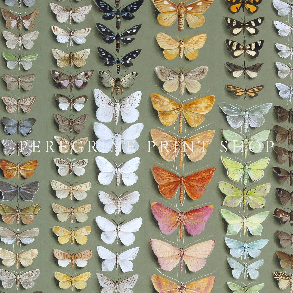 Green Butterfly Chart, Vintage Cottagecore Art Print - Image 2