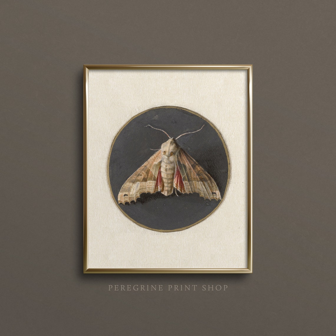 Vintage Moth Illustration Dark Circular Entomology Neutral Art Poster - Image 2