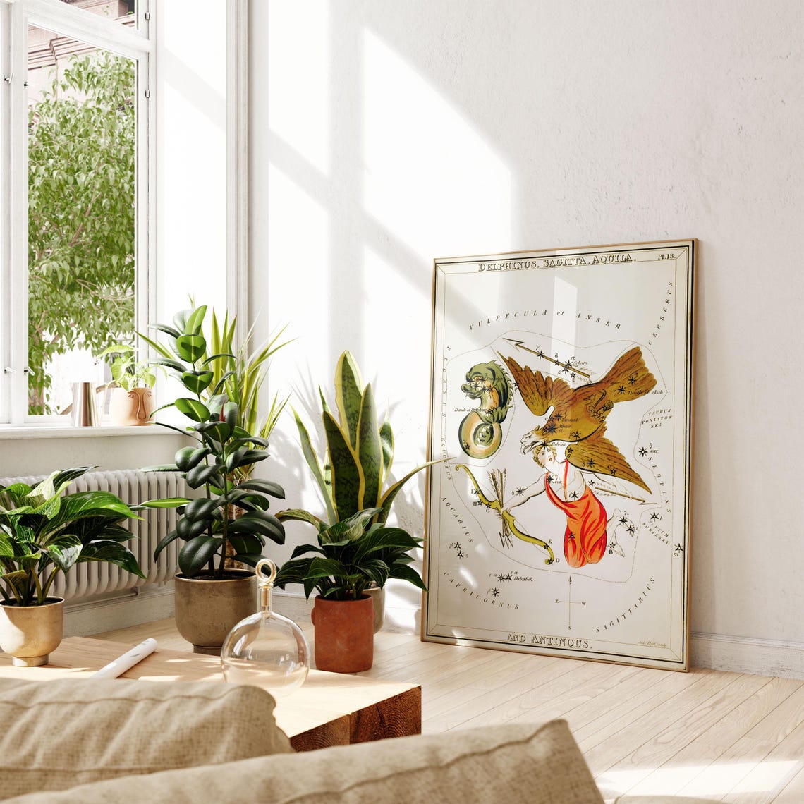 Delphinus Sagitta Aquila Antinous Constellation Celestial Chart Poster - Image 3