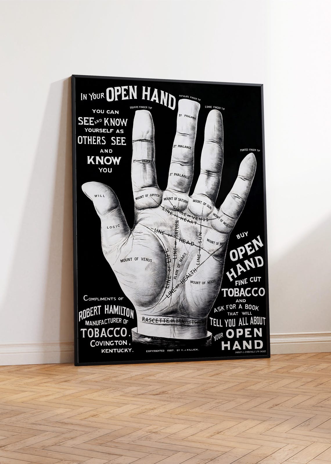 Open Hand Fortune Teller Palmistry 1887 Vintage Advertising Art Poster - Image 3