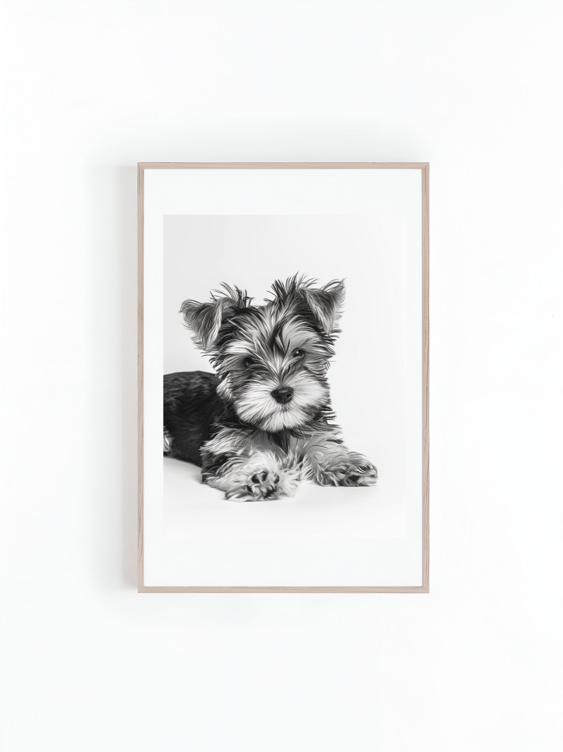 Yorkie Puppy Photos Black And White Photo Of Yorkshire Terrier Puppy Photo Of Puppies Dog Lover Gifts Instant Print