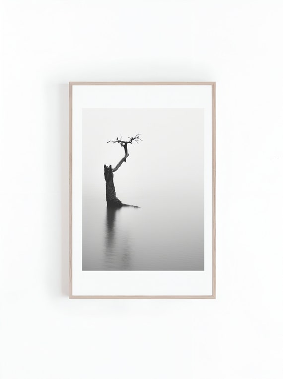 Black And White Photograph Of Tree On Lake Wall Arts Large Posters Trees Submerged In Lake Scenic Photo Print Instant