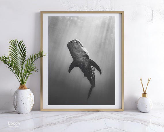 Whale Sharks Under Water Photograph, Poster Print