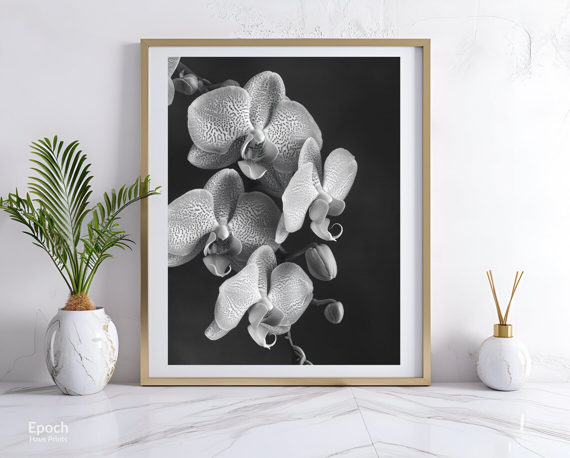 Orchid Flowers, Black White Floral Wall Art