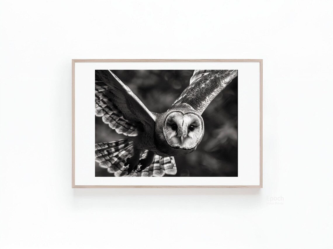 Owl In Flight, Cute Animal Photo Poster Print - Image 3