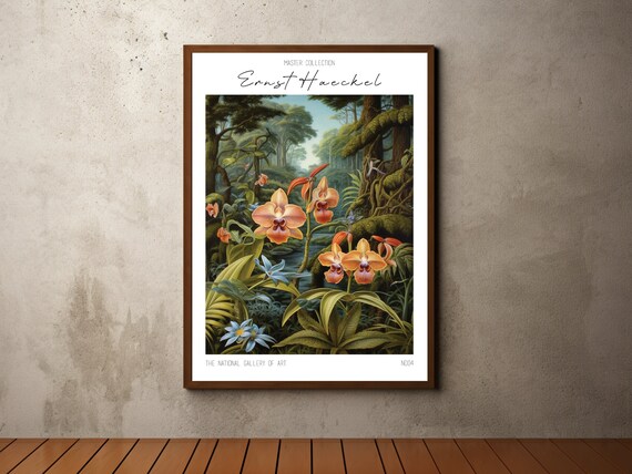Ernst Haeckel Inspired Print Poster Tropical Jungle Wildlife Art Botanical Wall Art Floral Illustrations Jungle Print Orchid Art Print
