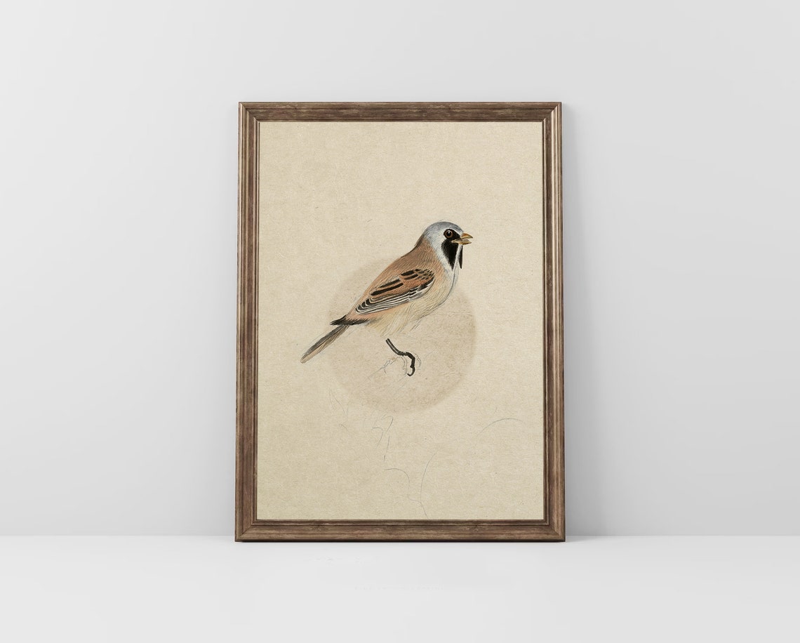 Penduline Tit Songbird Watercolor Study on Cream Paper Poster - Image 4