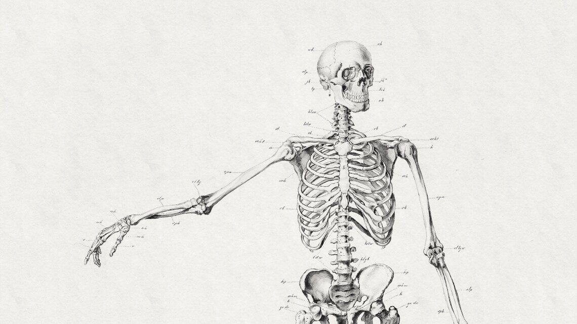 Halloween Skeleton Wall Art for Frame TV - Image 2