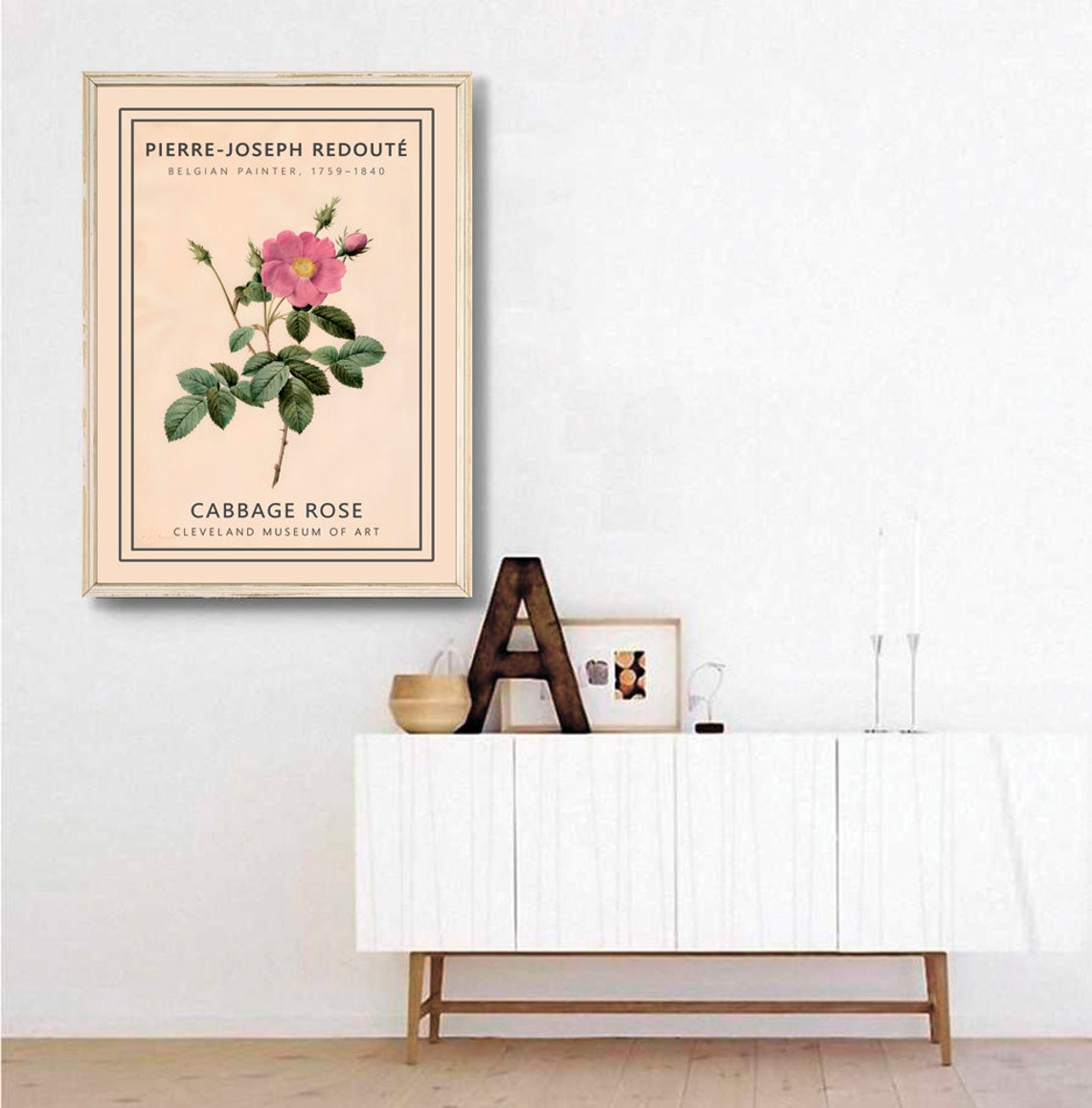 Pierre Joseph Redoute Cabbage Rose Botanical Vintage Art Poster - Image 3