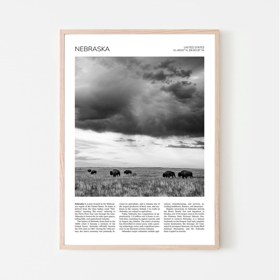 Nebraska Wall Art Bison Nebraska Travel Poster Fort Niobrara National Wildlife Refuge Valentine Landscape Print Travel Poster Usa