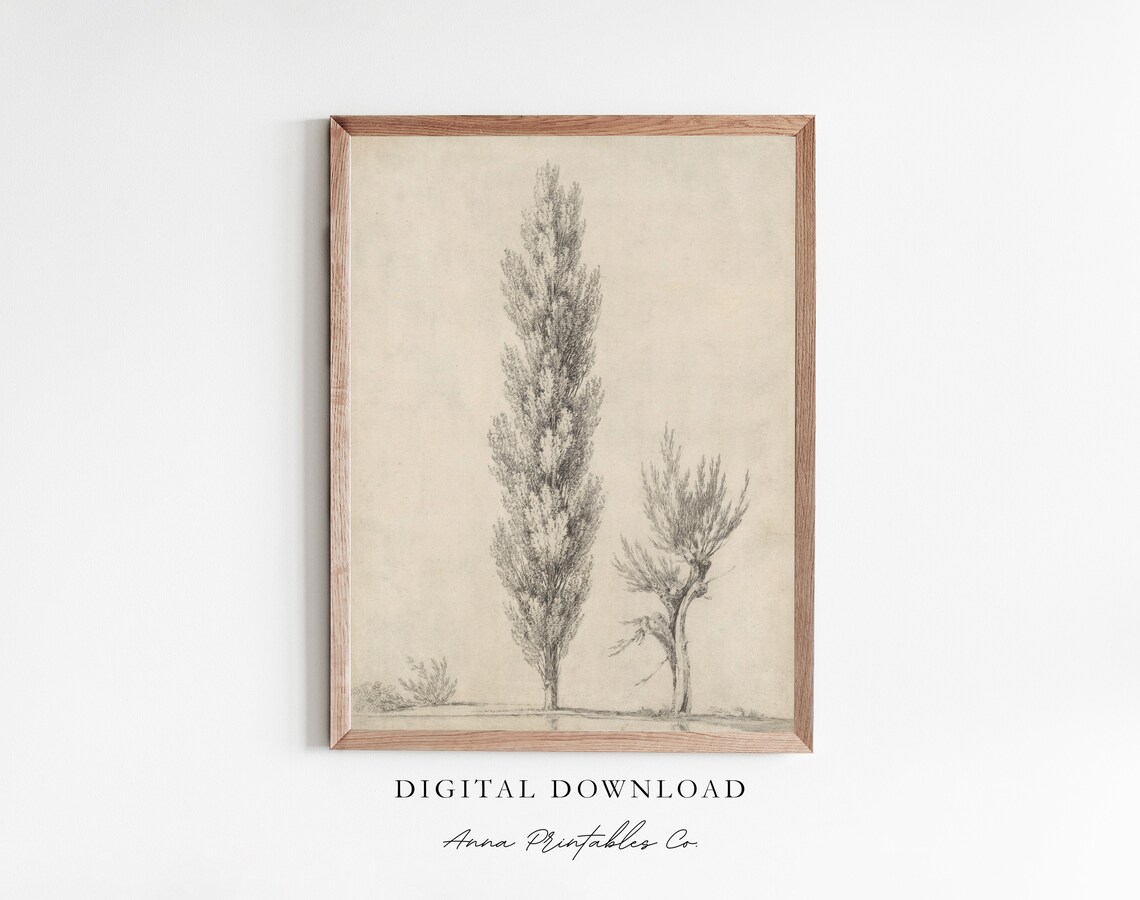 Columnar Trees Vintage Drawing, Nature Wall Art Print