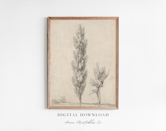 Columnar Trees Vintage Drawing, Nature Wall Art Print