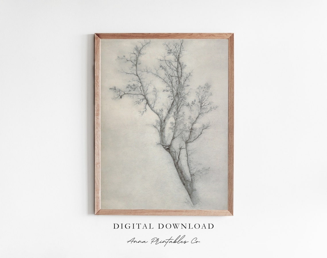 Bare Winter Tree Branches Minimalist Pencil Sketch Art Poster