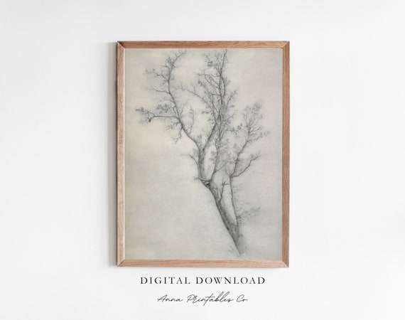 Tree Sketch Iv Antique Rustic Tree Drawing For Vintage Minimalist Wall Art Cottage Farmhouse Fine Art Print