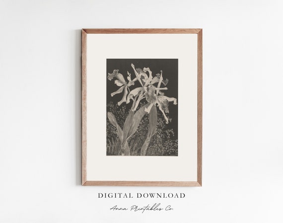 Black And White Vintage Floral Sketch Print Dark Academia Decor Wall Art Dark Cottagecore Art Prints Moody Art