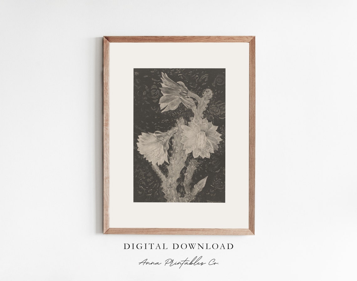 Night Blooming Cactus Flower Engraving Vintage Botanical Art Poster
