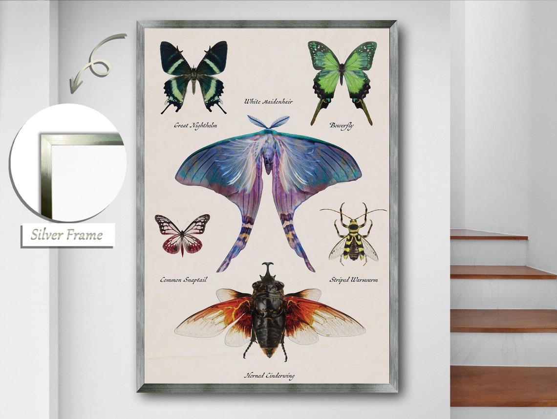 Butterfly Art, Modern Insect Decor - Image 3