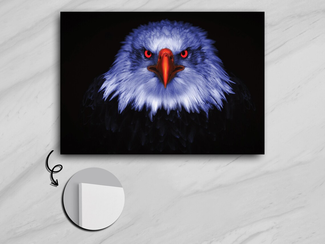 Majestic Midnight Eagle, Regal Wildlife Art Print - Image 5