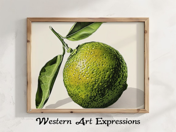 Lime Botanical Illustration Green Citrus Fruit Kitchen Poster