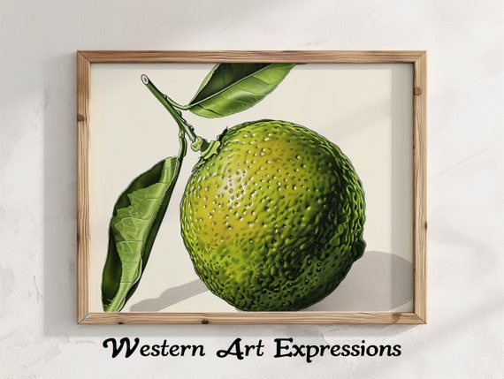 Lime Illustration Vibrant Citrus Wall Art Green Lemon Print Kitchen Decor Modern Botanical Refreshing Fruit Poster