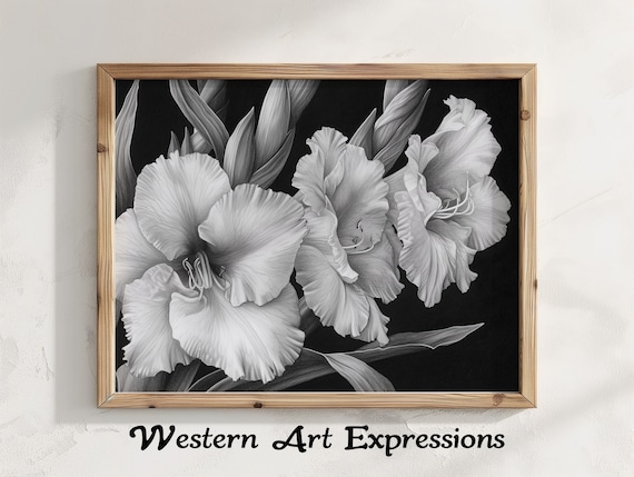 Gladiolus Trio Ink Drawing Black And White Floral Wall Art Botanical Illustration Pencil Print Classic Flower Design