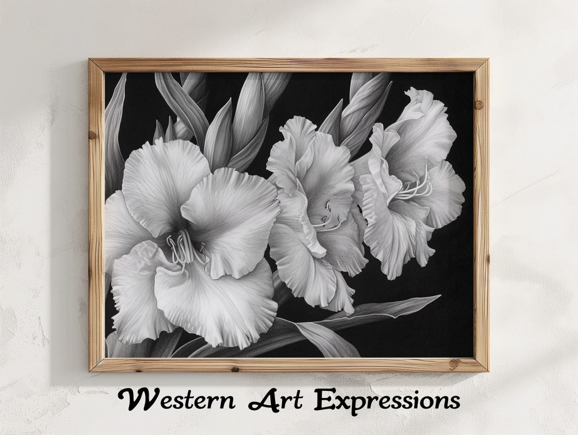 Gladiolus Trio Ink Drawing Black And White Floral Wall Art Botanical Illustration Pencil Print Classic Flower Design