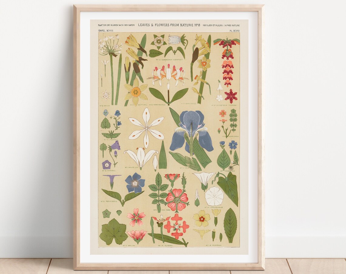 Vintage Leaves and Flowers Botanical Art Print
