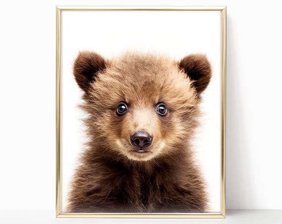Baby Bear Cub Nursery Portrait Cute Soft Brown Fur Art Print