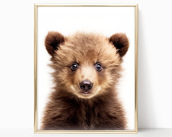 Baby Bear Nursery Decor Woodland Nursery Art Framed Print For Baby Room Forest Animals Theme Baby Animals Wall Art Poster Prints
